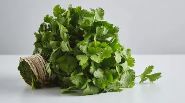 garnishing-instructions-image